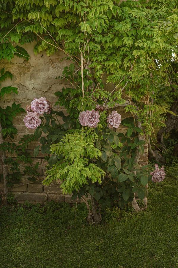 Villa Corallo Sant'Omero Bagian luar foto